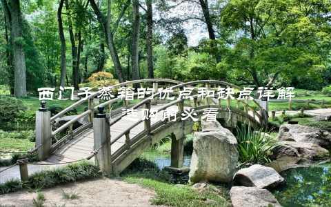 西门子蒸箱的优点和缺点详解（选购前必看）