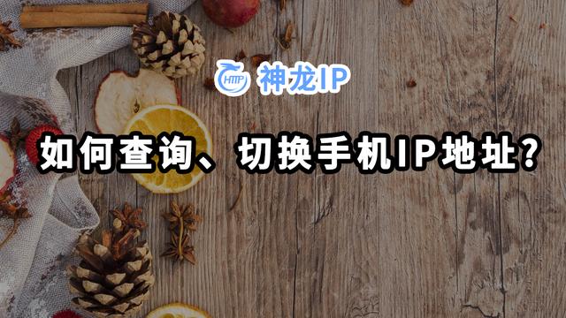 手机ip地址在哪里查看（手机IP地址可以改吗）