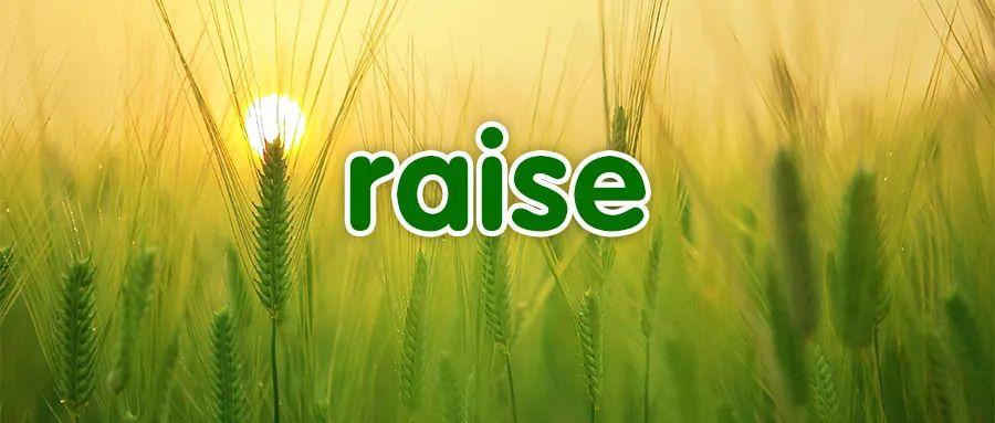 每日一词 | raise 详解