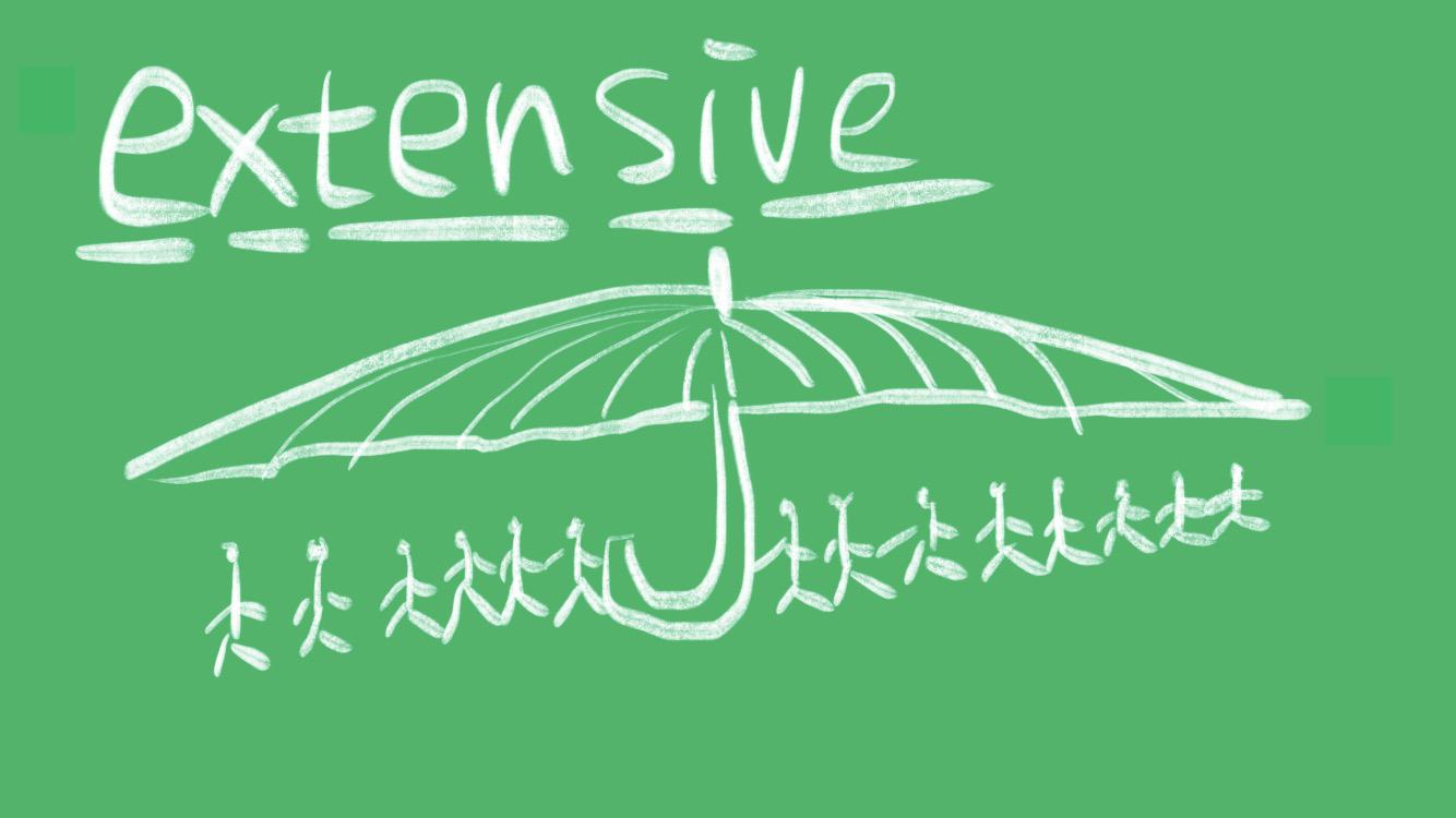 extensive什么意思