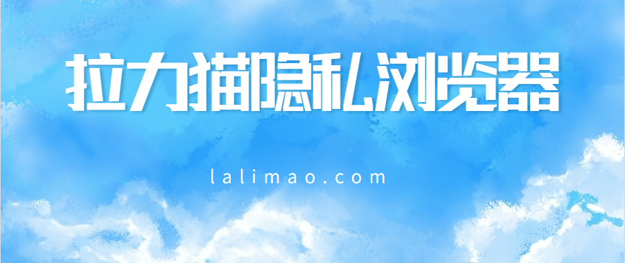 隐私浏览器哪个最好用？什么样的浏览器能被称为隐私浏览器？