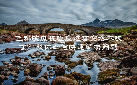 飞科吹风机温度过高突然不吹了？教你如何快速解决问题