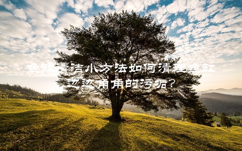 鱼缸清洁小方法如何清理鱼缸边边角角的污垢？
