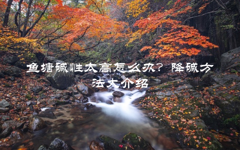 鱼塘碱性太高怎么办？降碱方法大介绍