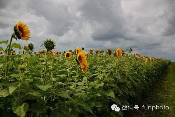 升级新相机前，先问自己几个问题