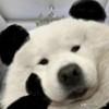 旧电脑大救星：国产Fyde OS！比win7运行还流畅