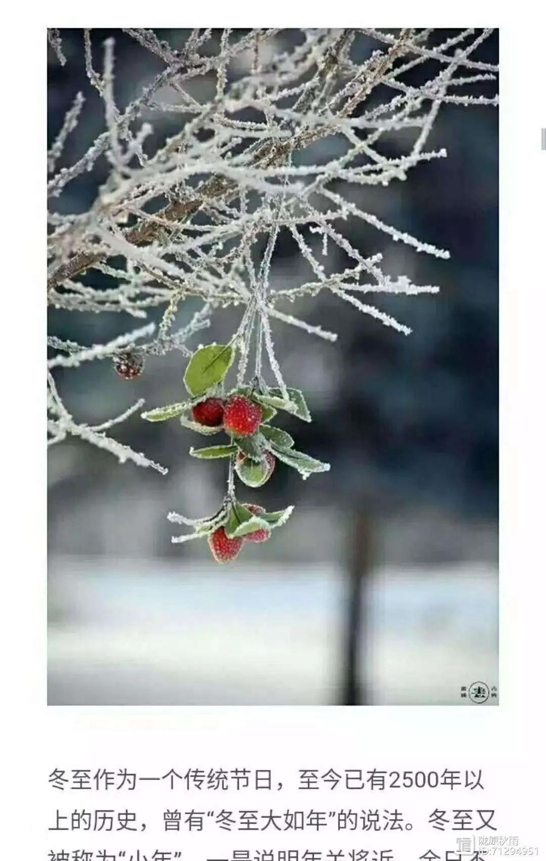 54、描写荷花最出名有这些(38首)