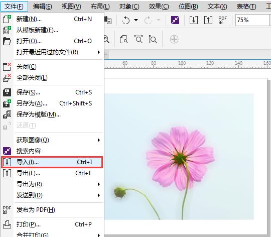 cdr怎么去掉图片白底（cdr怎么抠图详细步骤）
