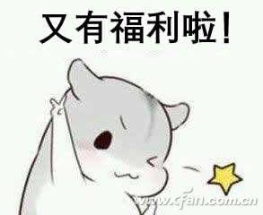 十代酷睿也降价 最值得入手的还是这两个