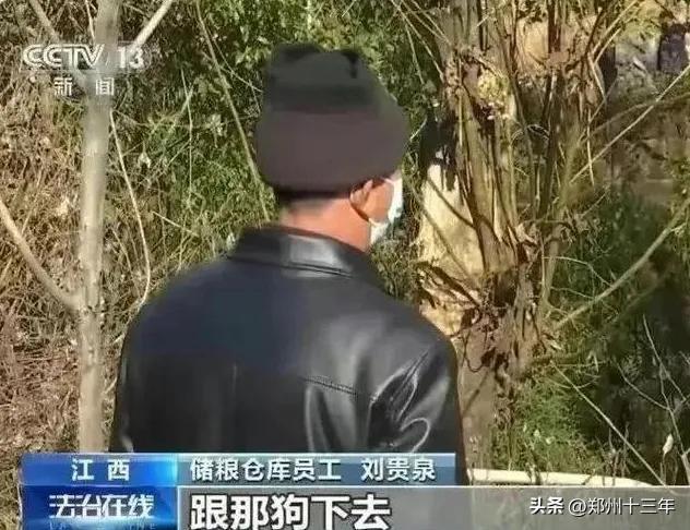 疑似发现胡同学的粮仓管理员被辞退，没有奖反而罚，他做错了什么