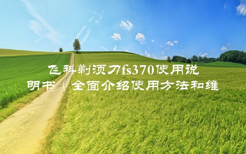 飞科剃须刀fs370使用说明书（全面介绍使用方法和维护保养）
