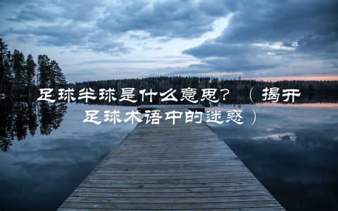 足球半球是什么意思？（揭开足球术语中的迷惑）