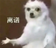 永久免费的 360 浏览器，收费了