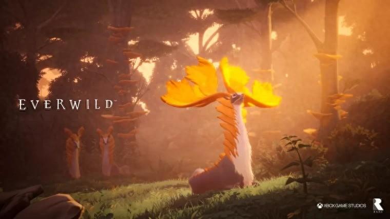 《Everwild》还活着：Rare正为项目招聘视频制作人