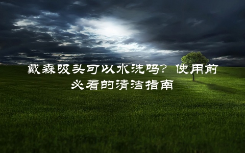 戴森吸头可以水洗吗？使用前必看的清洁指南