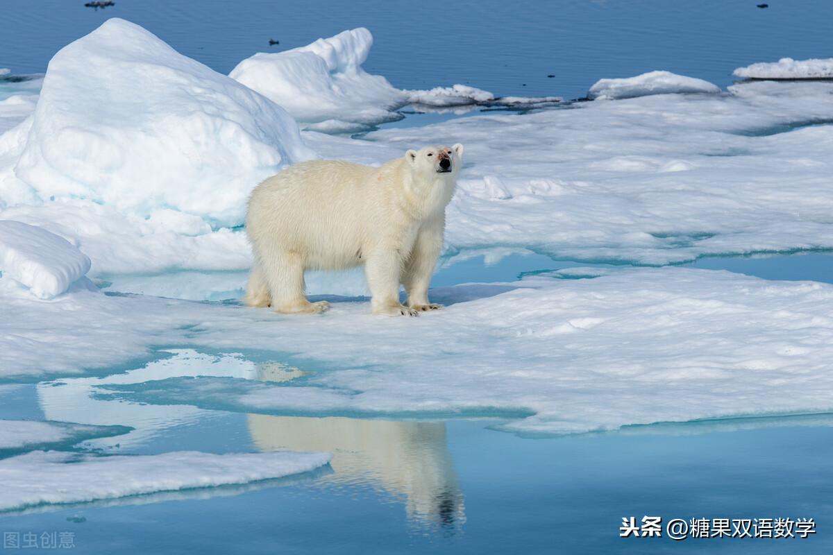 一分钟英语 temperature