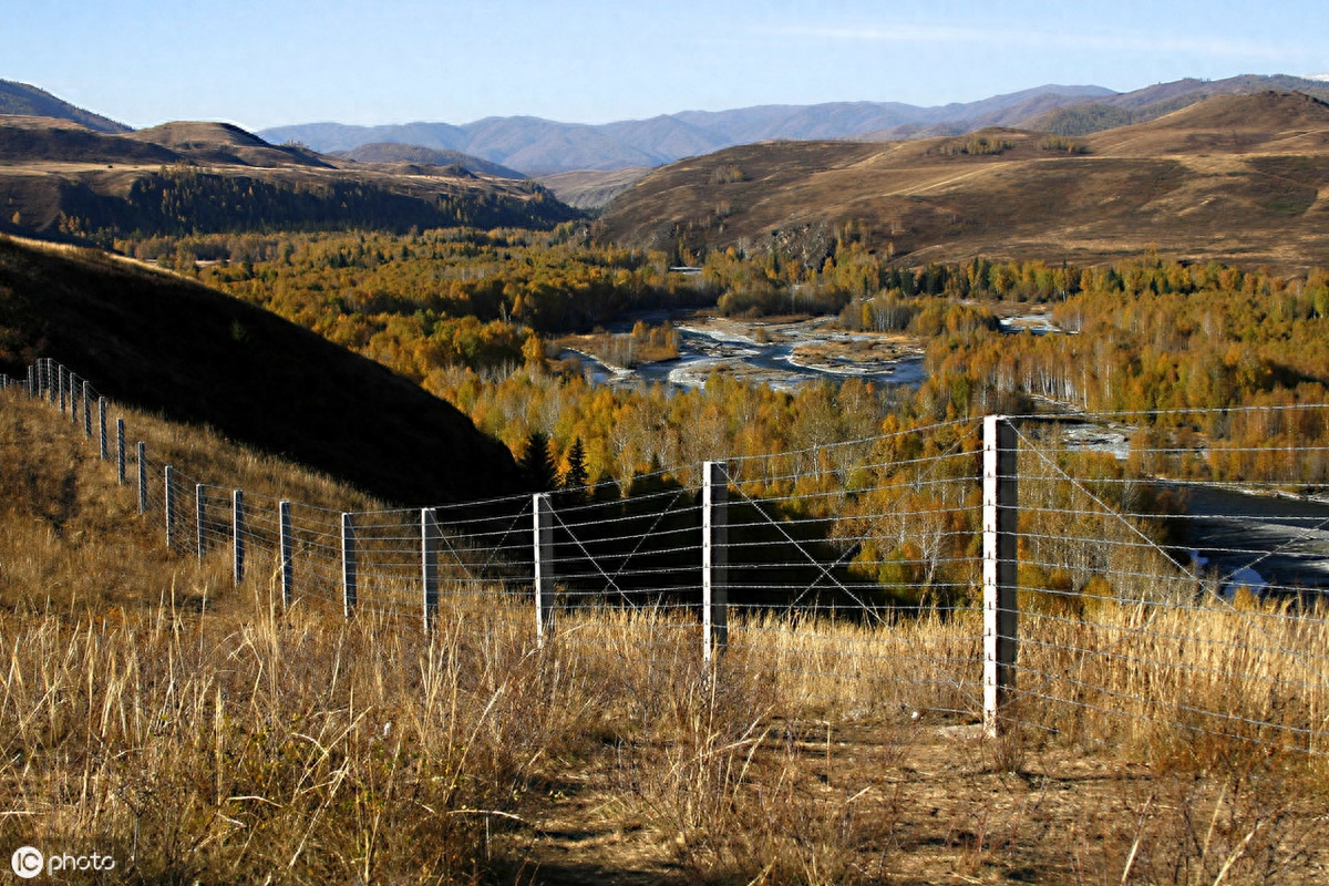 15秒记一个单词(第796个)tension