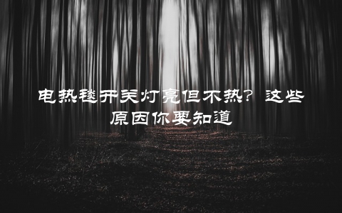 电热毯开关灯亮但不热？这些原因你要知道