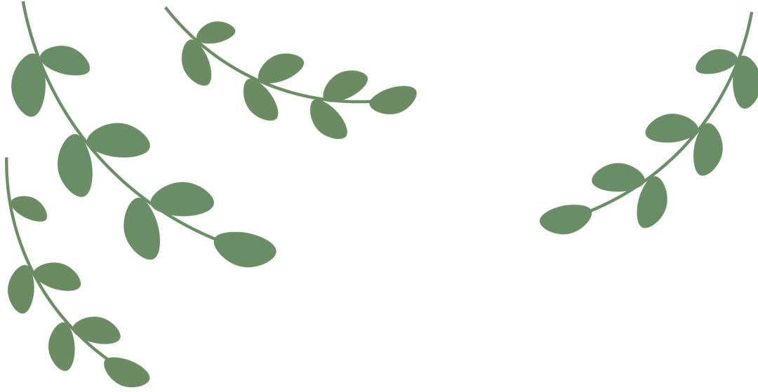 电脑端有哪些好用的视频播放器软件？