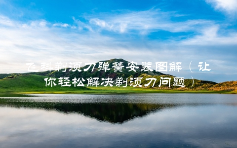 飞科剃须刀弹簧安装图解（让你轻松解决剃须刀问题）