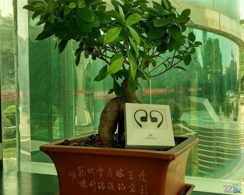 Haylou-H1蓝牙耳机，时尚挂耳，跑步不脱落