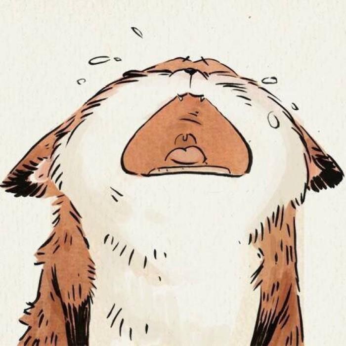 多图！详细！轻松教你认识计算机主板，从此电脑出问题再也不用麻烦别人啦！