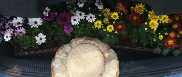 数一数那些年用过的相机和照片背后的故事