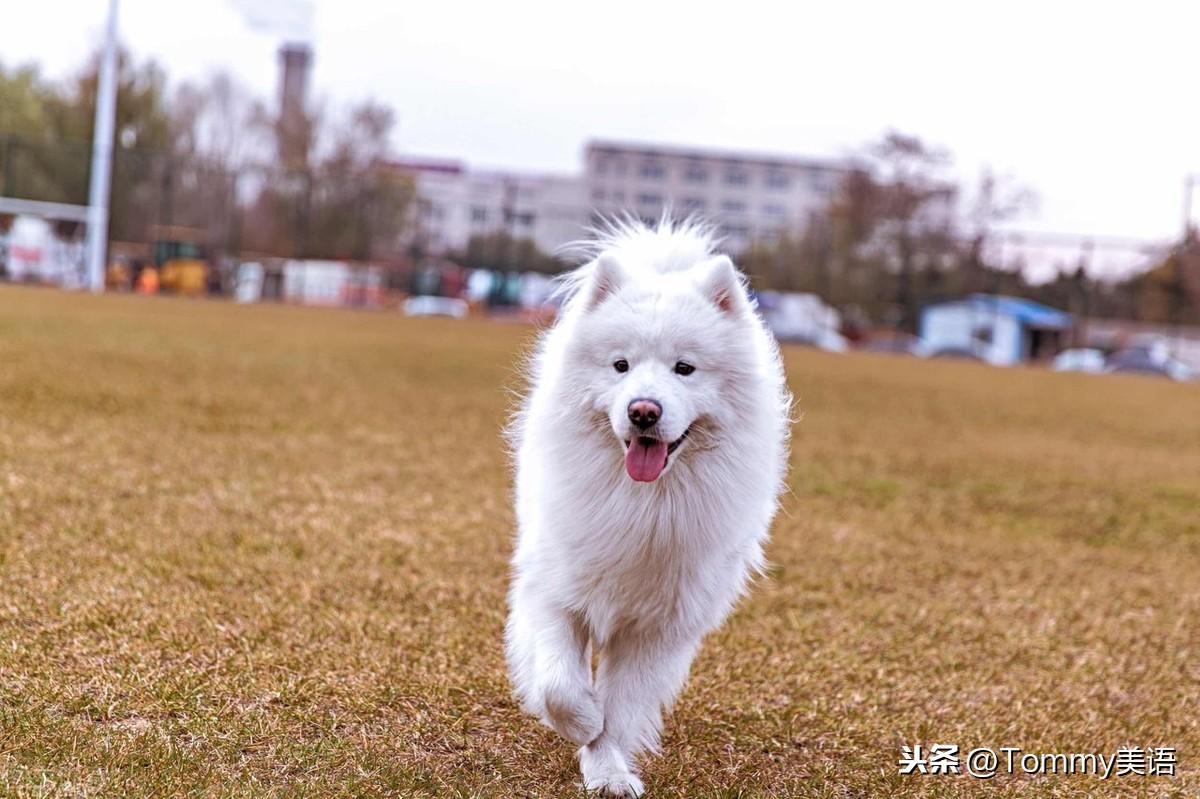 15秒记一个单词（第2882个）soft