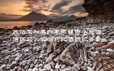 苏泊尔和美的电蒸锅哪个更值得购买？实测对比告诉你答案