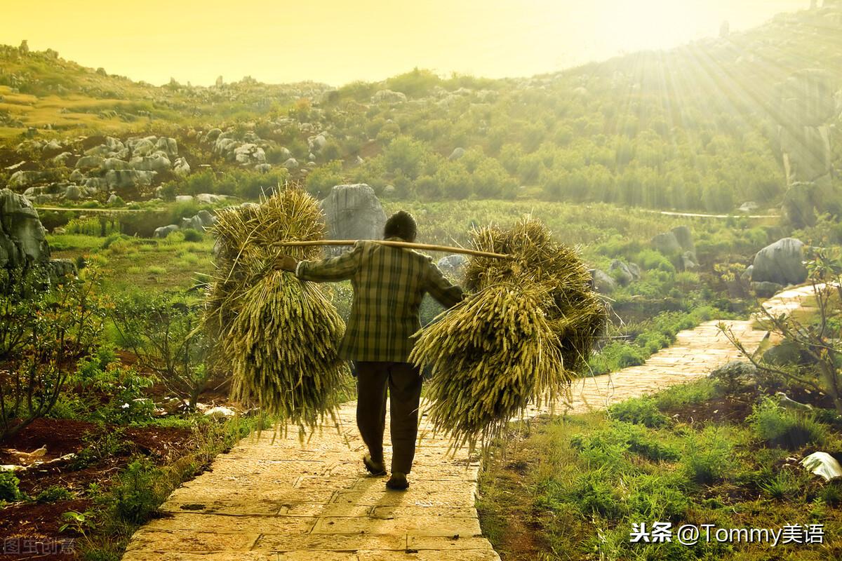15秒记一个单词(第3095个)poverty