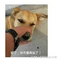 键盘上的26个字母顺序，2分钟让你深入骨髓，一辈子都忘不了~