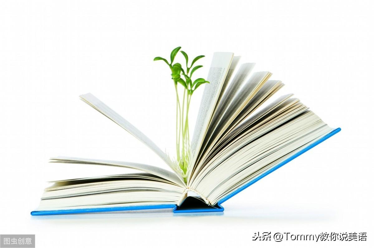 15秒一个单词（第2272个）influential