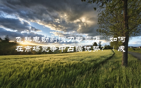 飞科电动剃须刀专卖店，如何在市场竞争中占据优势？（成功经验分享）