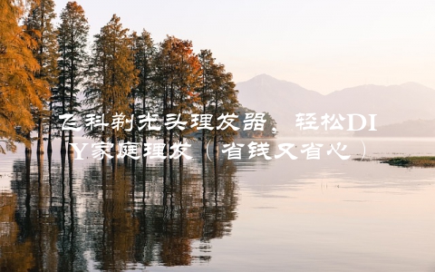 飞科剃光头理发器，轻松DIY家庭理发（省钱又省心）