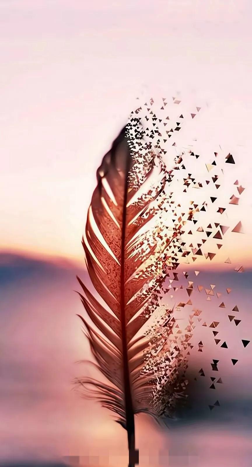 很多事情都没有想象中那么重要了｜羽毛壁纸