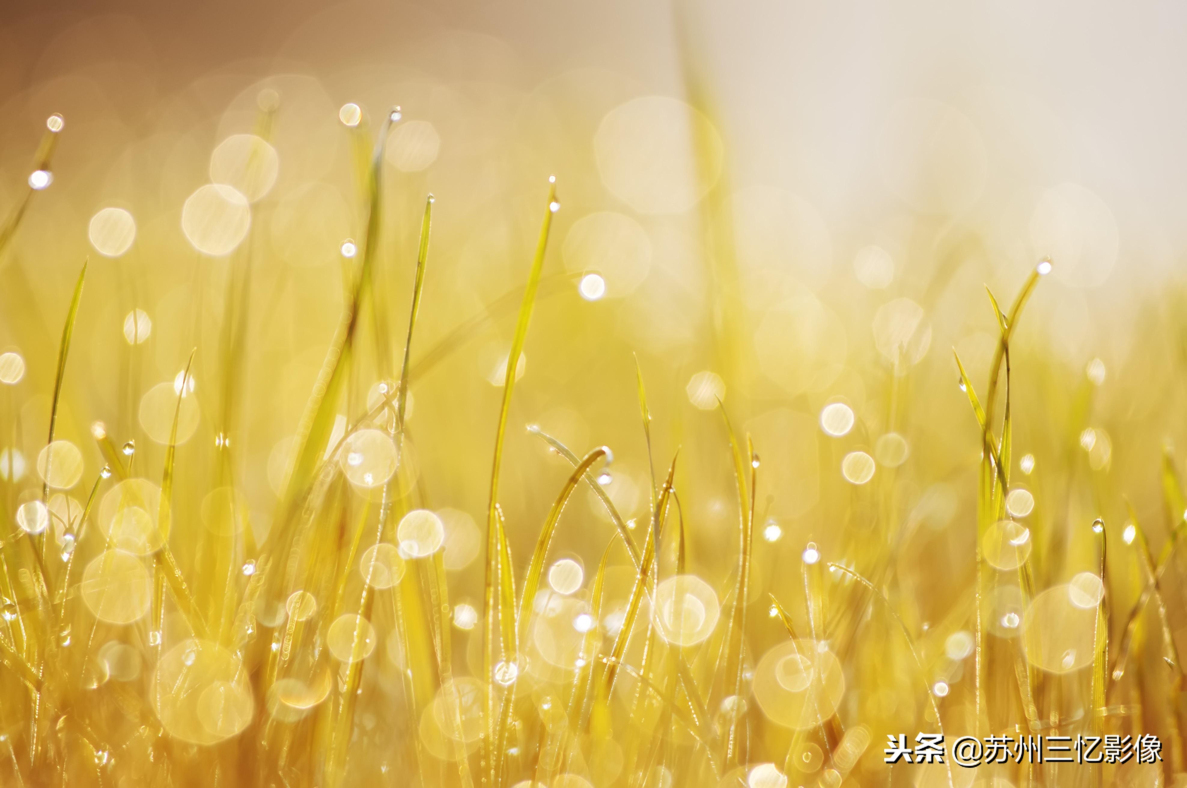4000元左右的预算，按这样的方法也能玩好单反摄影