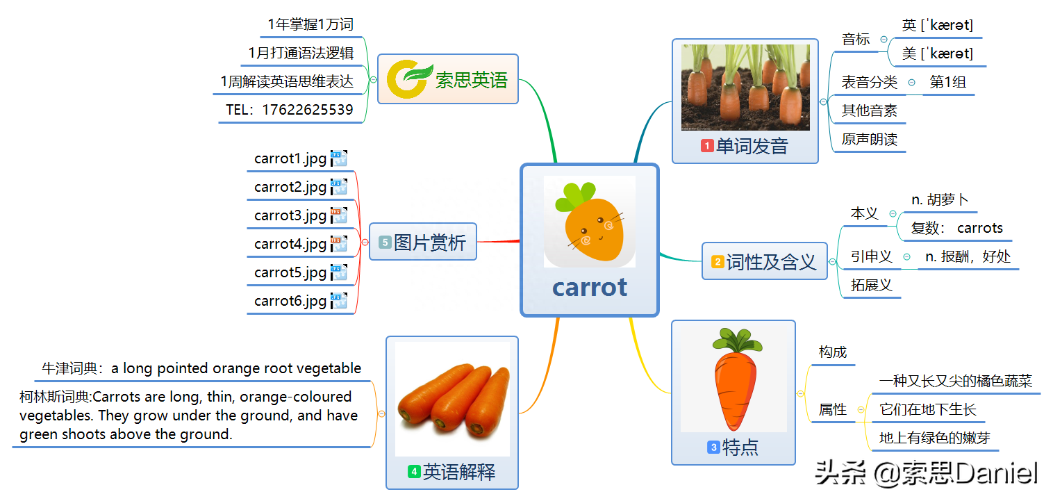 索思英语解码单词(第86个)——carrot胡萝卜