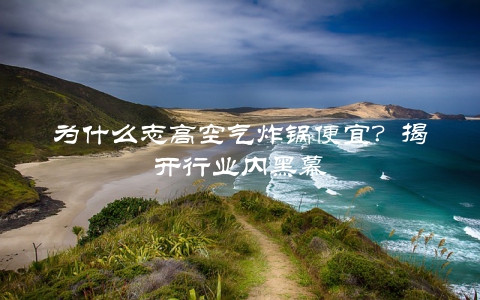 为什么志高空气炸锅便宜？揭开行业内黑幕