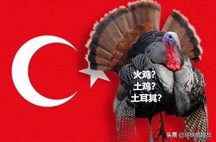 再见“土鸡”！土耳其，为什么想把英文名从Turkey改为Turkiye？