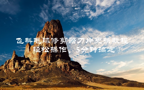 飞科毛球修剪器刀片更换教程（轻松操作，5分钟搞定）