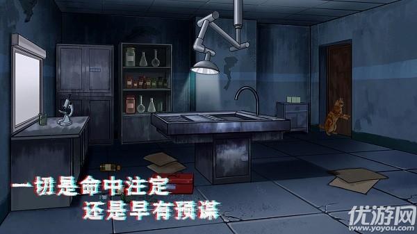 猫与密室攻略（猫与密室图文攻略）