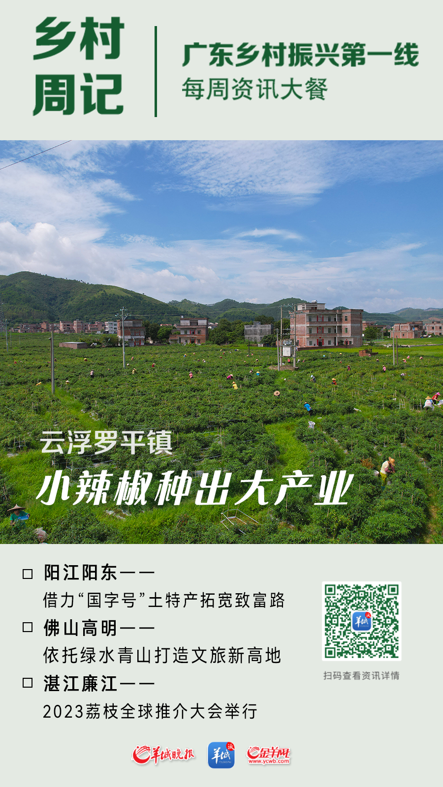 乡村周记丨云浮罗平镇“小辣椒”种出“大产业”；2023廉江荔枝全球推介大会