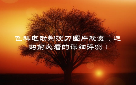飞科电动剃须刀图片欣赏（选购前必看的详细评测）