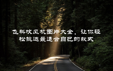 飞科吹风机图片大全，让你轻松挑选最适合自己的款式