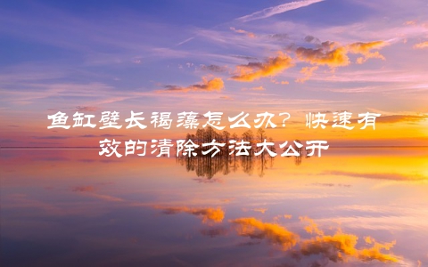 鱼缸壁长褐藻怎么办？快速有效的清除方法大公开
