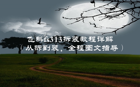 飞科fs313拆装教程详解（从拆到装，全程图文指导）