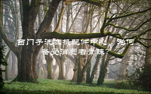 西门子洗衣机配件中心，为何备受消费者青睐？