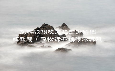 飞科6228吹风机的拆解图解教程（轻松拆开维修不再难）