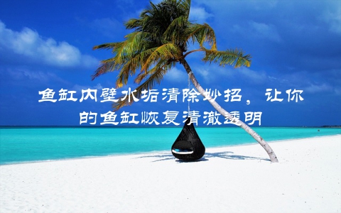鱼缸内壁水垢清除妙招，让你的鱼缸恢复清澈透明