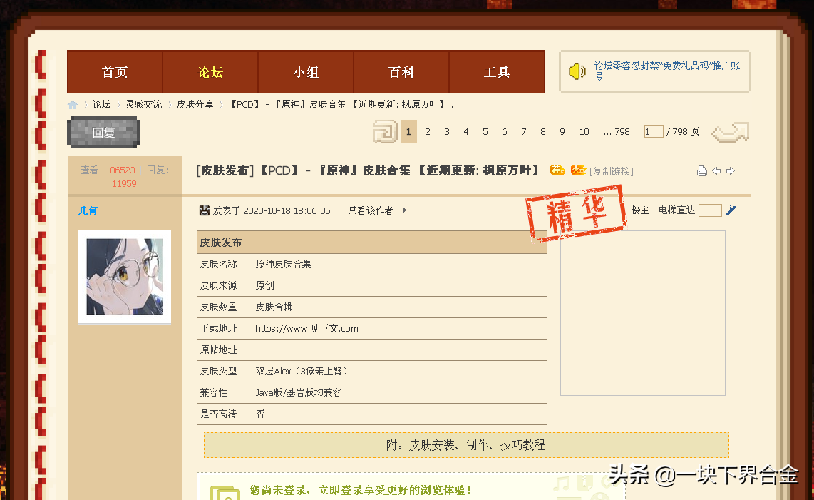 我的世界皮肤导入图片大全（我的世界手机版导入皮肤）